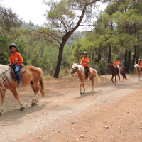 Yaz Kampı Binicilik Yaz Kampı Binicilik