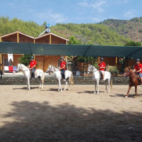 Yaz Kampı Binicilik Yaz Kampı Binicilik