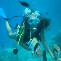 Yaz Kampı Dalış Yaz Kampı Dalış