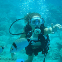 Yaz Kampı Dalış Yaz Kampı Dalış