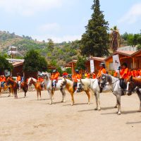 Yaz Kampı Binicilik