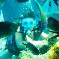 Yaz Kampı Eğlencesi